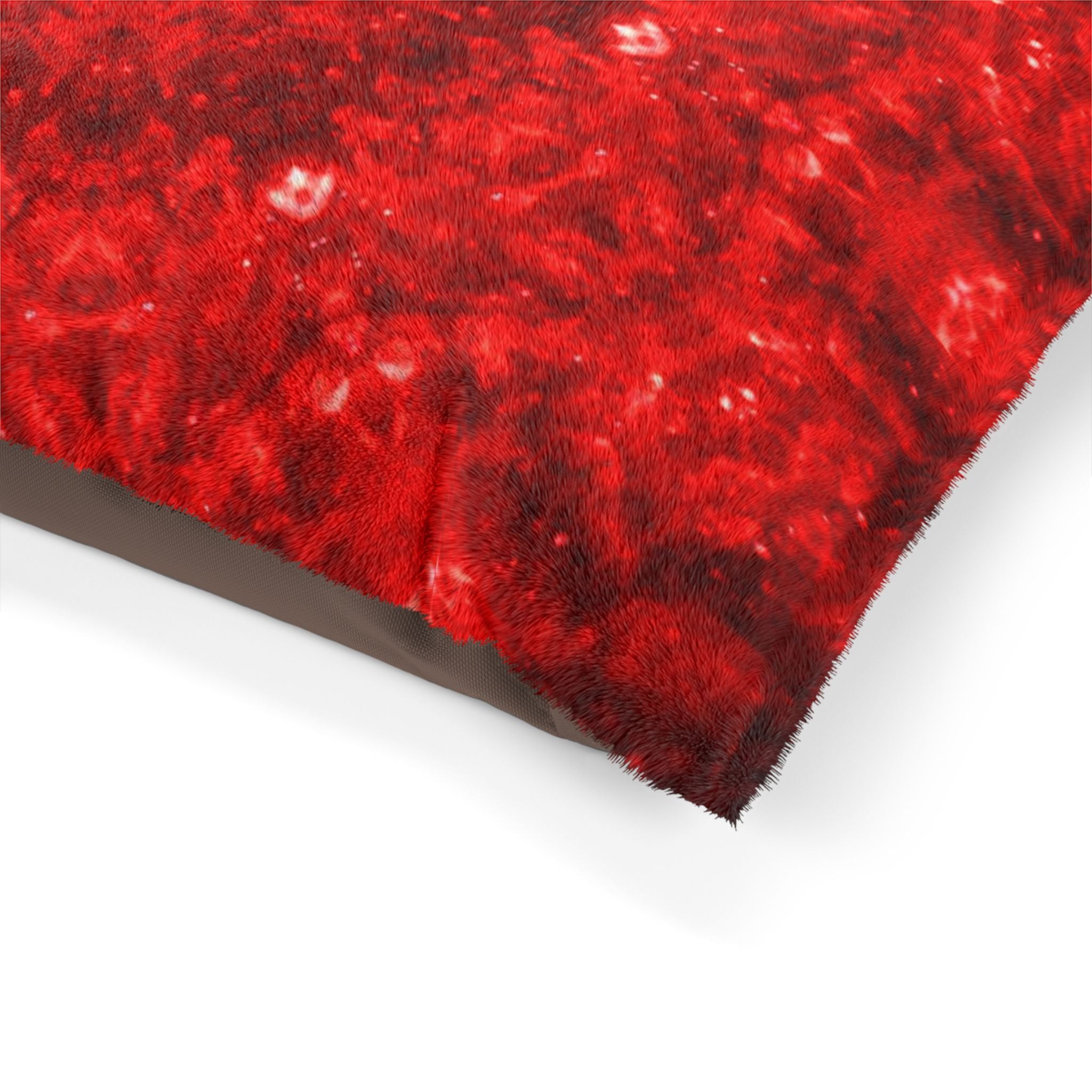 Katerina’s Battle Symphony Desires 2022 Pet Bed