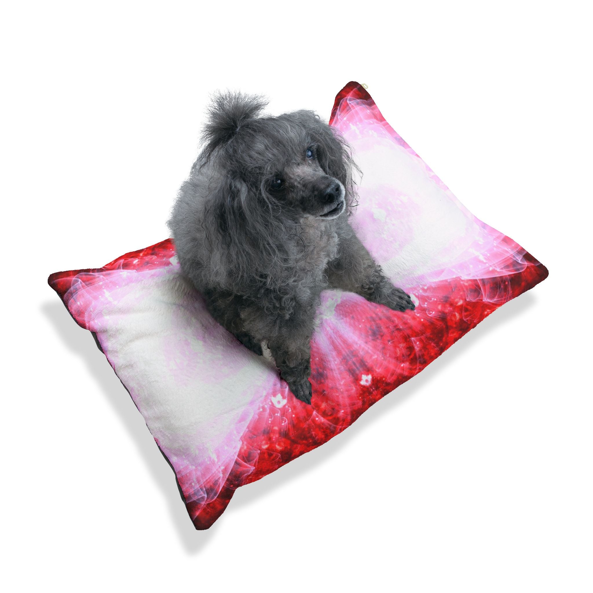 Katerina’s Battle Symphony Red Instead 2022 Desires Pet Bed