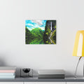 Abalone Lake Dreams Acrylic Prints (French Cleat Hanging)