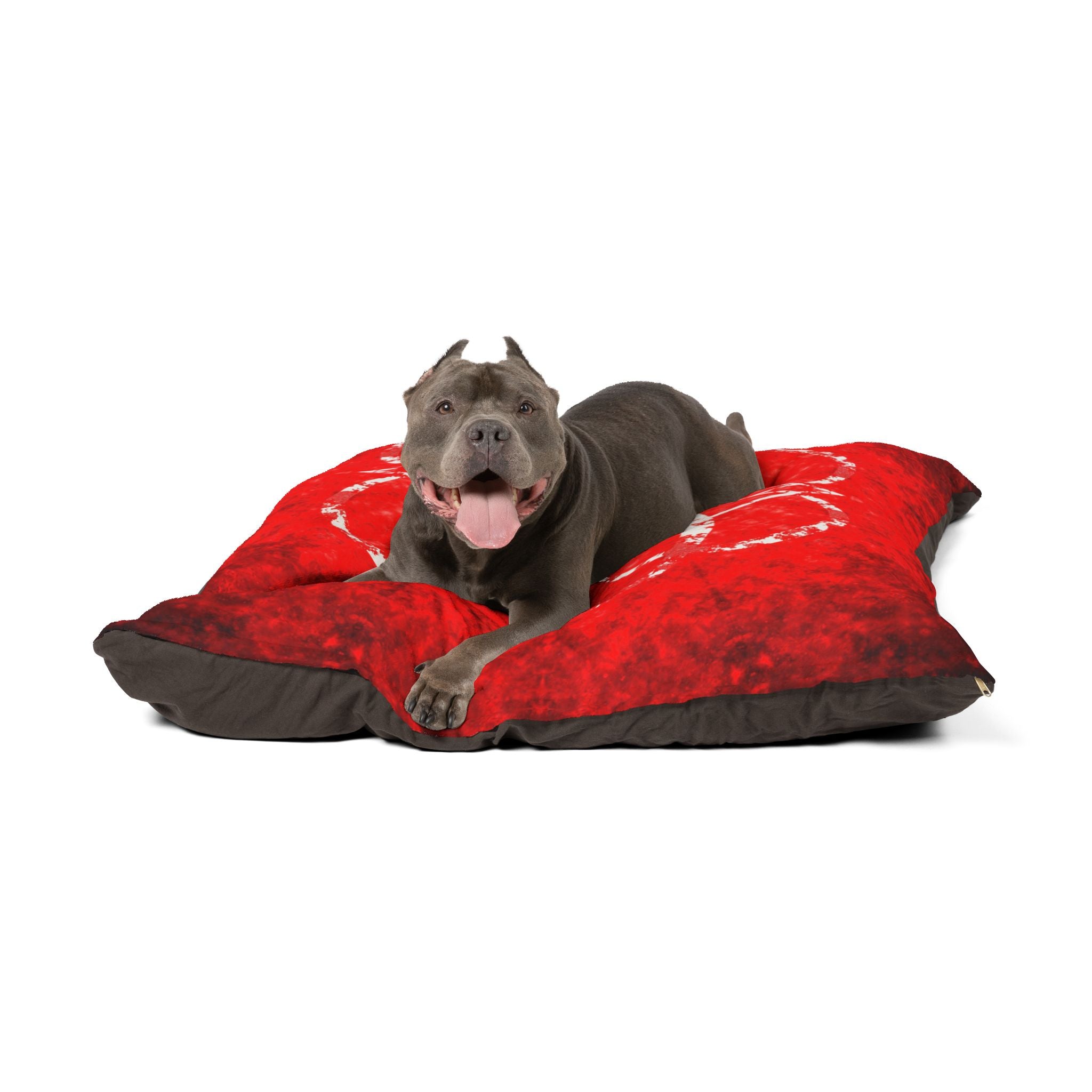 Katerina's Battle Symphony Red Instead Infinity Desires 2024 Pet Bed