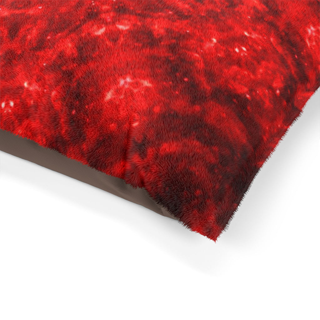 Katerina’s Battle Symphony Desires 2022 Pet Bed