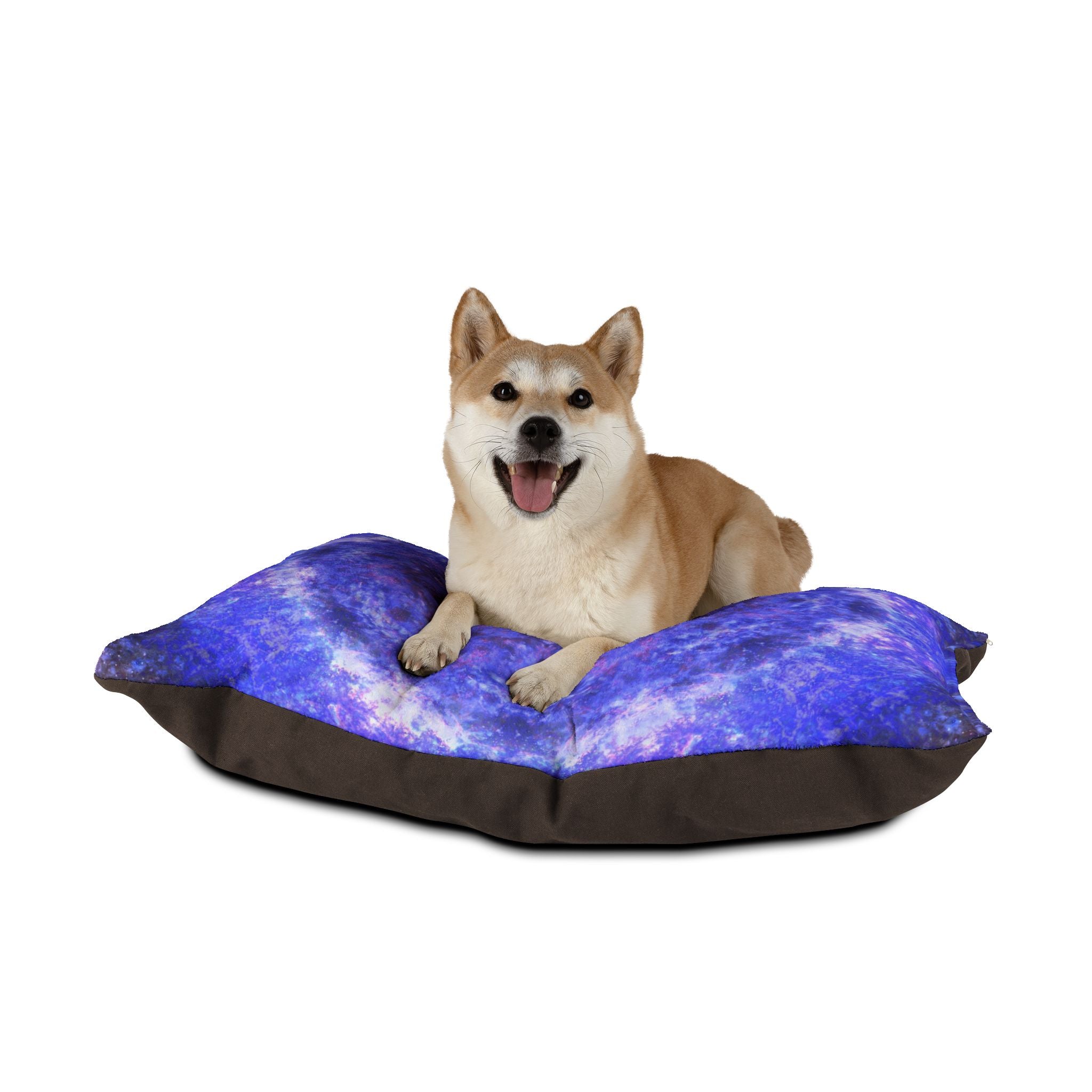Katerina's Afterall Desires Pet Bed