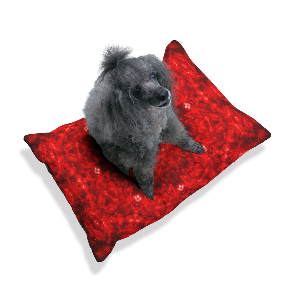 Katerina’s Battle Symphony Desires 2022 Pet Bed