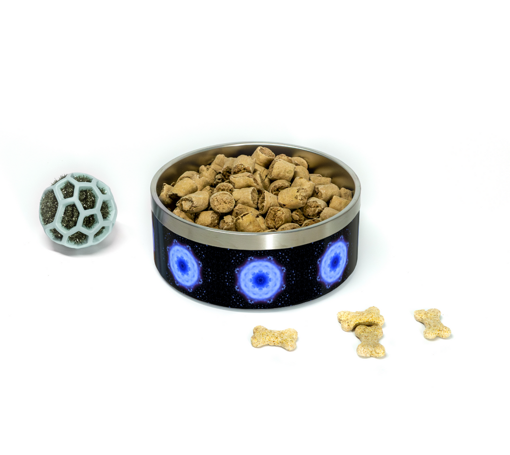 Katerina's Halo Desires Pet Bowl