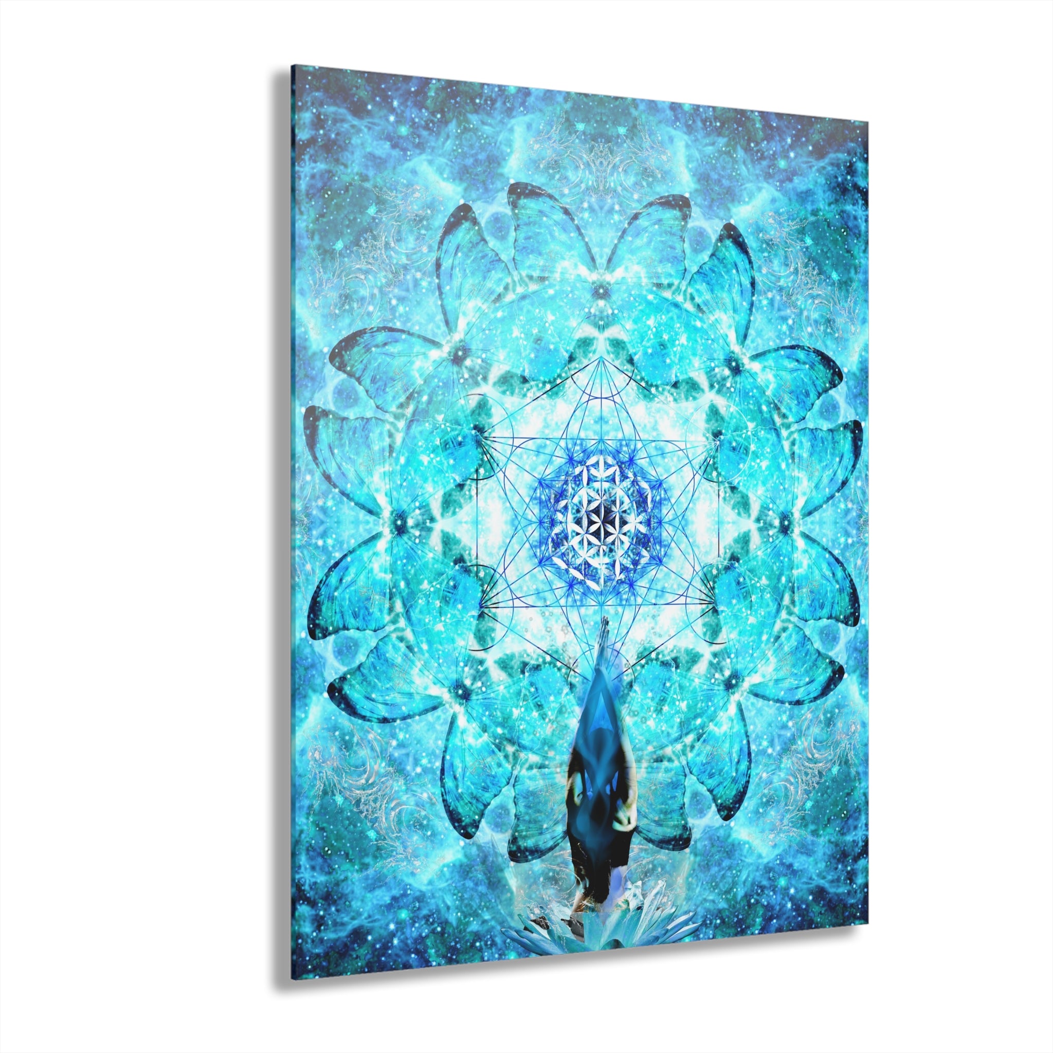 Amen Jin's all the White Horses Desires Metamorphosis Meditations (French Cleat Hanging)