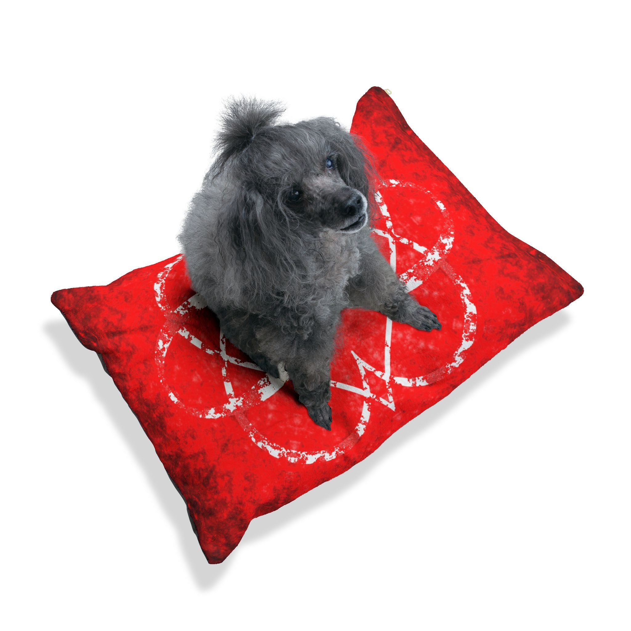 Katerina's Battle Symphony Red Instead Infinity Desires 2024 Pet Bed