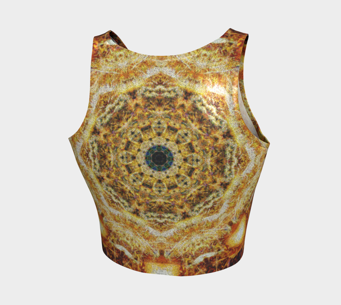 Katerina's Jupiter Desires Athletic Crop Top