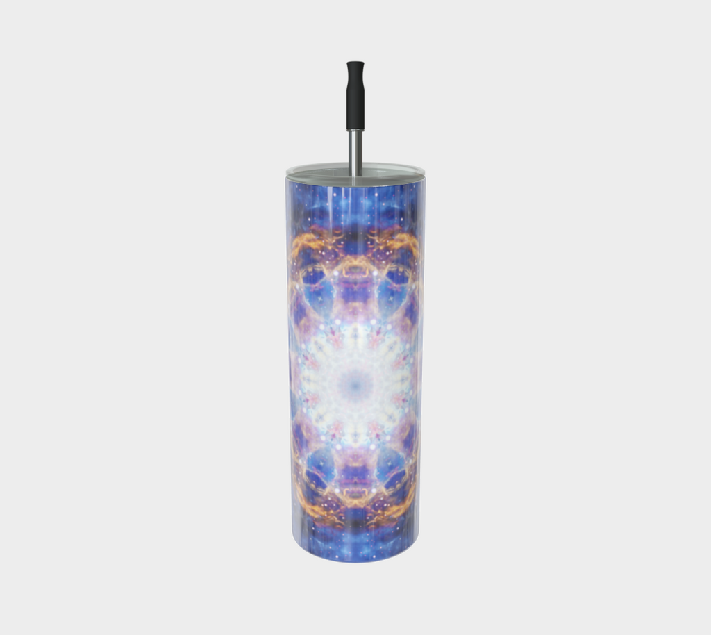 Laine's I Will Come Again Desires Stainless Steel Tumbler