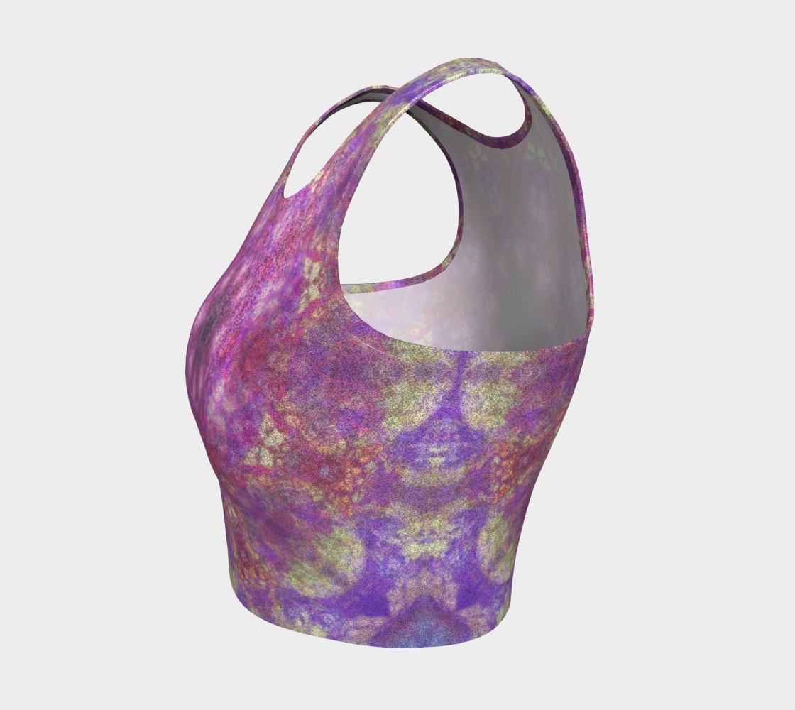 Katerina's Imaginary Desires Athletic Crop Top