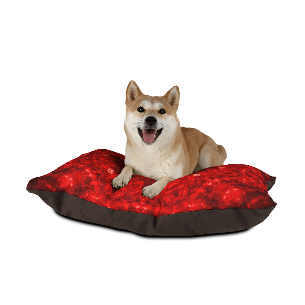 Katerina’s Battle Symphony Desires 2022 Pet Bed