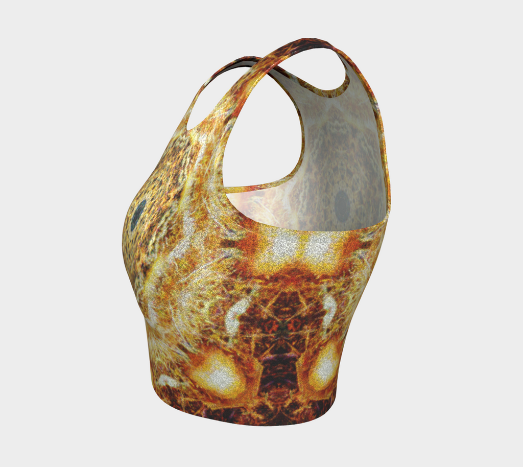 Katerina's Jupiter Desires Athletic Crop Top