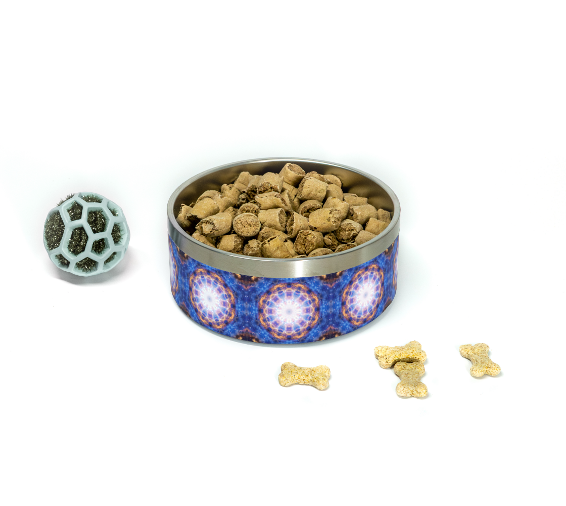 Laine's I Will Come Again Desires Pet Bowl