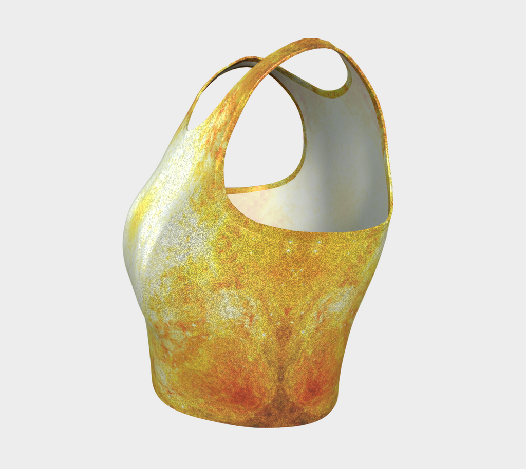 Katerina's Golden Desires Athletic Crop Top