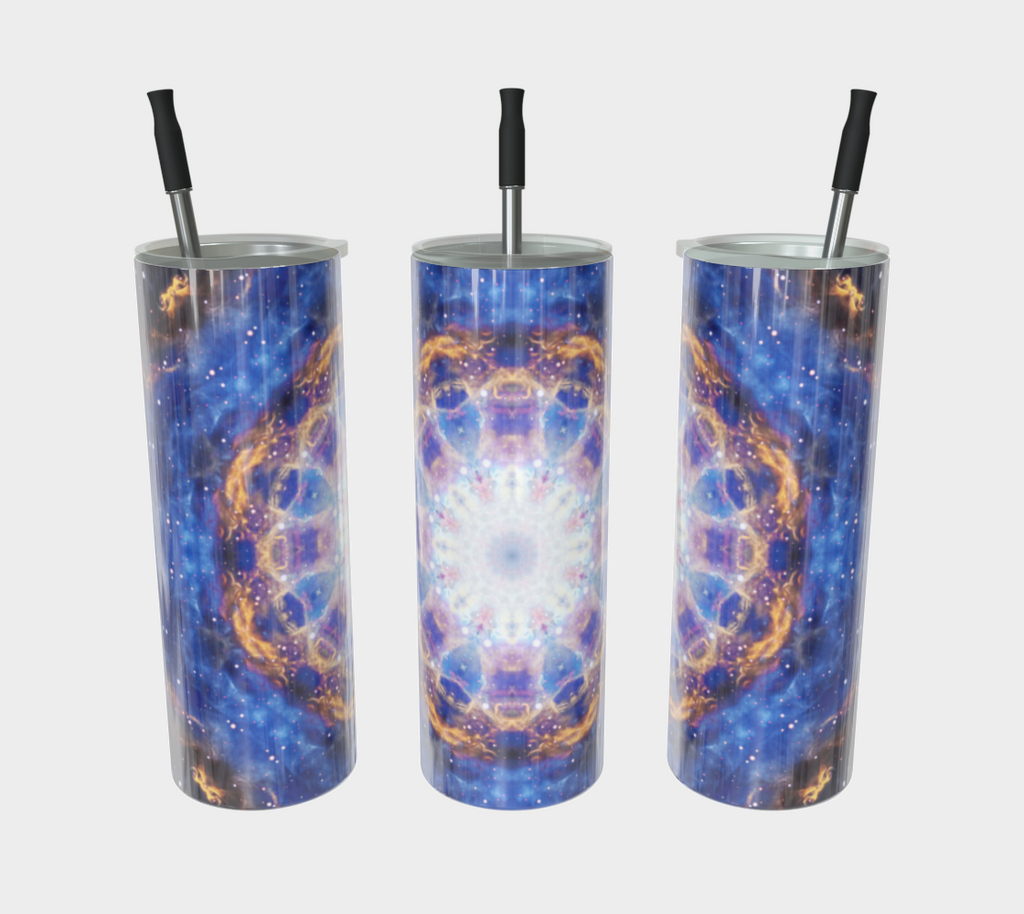 Laine's I Will Come Again Desires Stainless Steel Tumbler